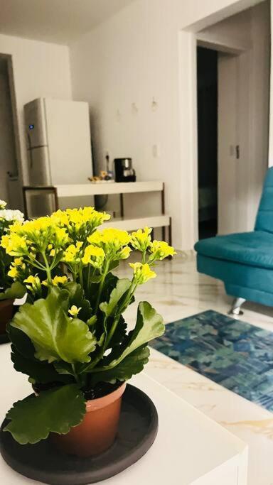 Apartamento No Andar Terreo Foz do Iguaçu Zewnętrze zdjęcie
